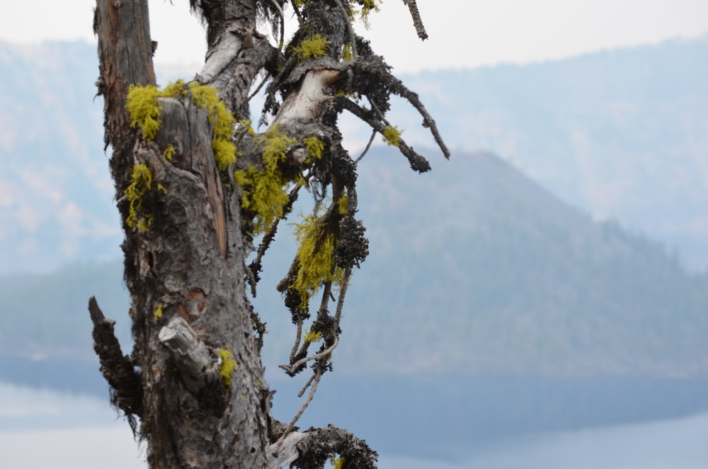 Crater Lake Photo 13