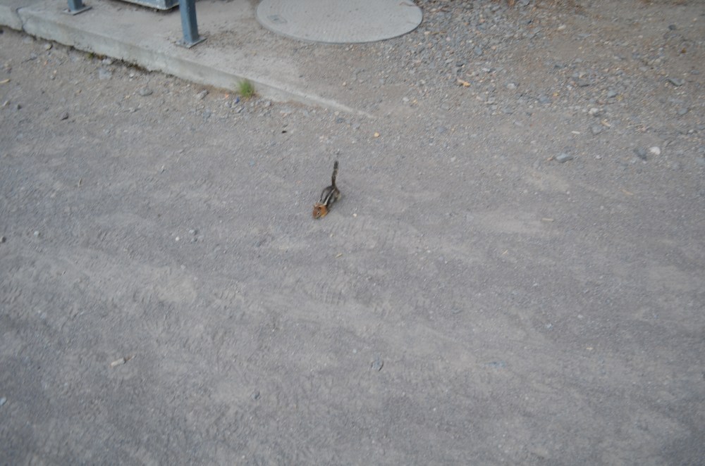 crater lake photo 17